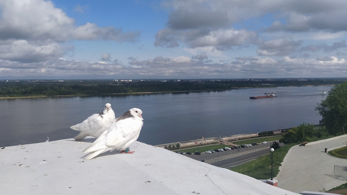 Фото Нижний Новгород: большая обзорная экскурсия