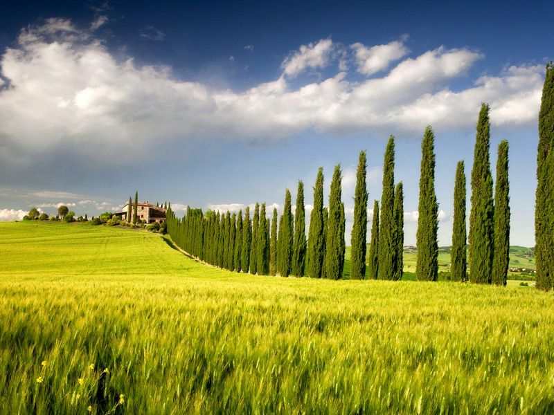 По Тоскане на кабриолете (из Сиены) (7/7)