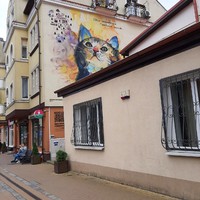 Фото отзыва 70: экскурсия "По Куршской косе и Зеленоградску в мини-группе" Фото отзыва 70: экскурсия "По Куршской косе и Зеленоградску в мини-группе"