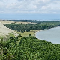 Фото отзыва 38: экскурсия "Загадочная Куршская коса" Фото отзыва 38: экскурсия "Загадочная Куршская коса"