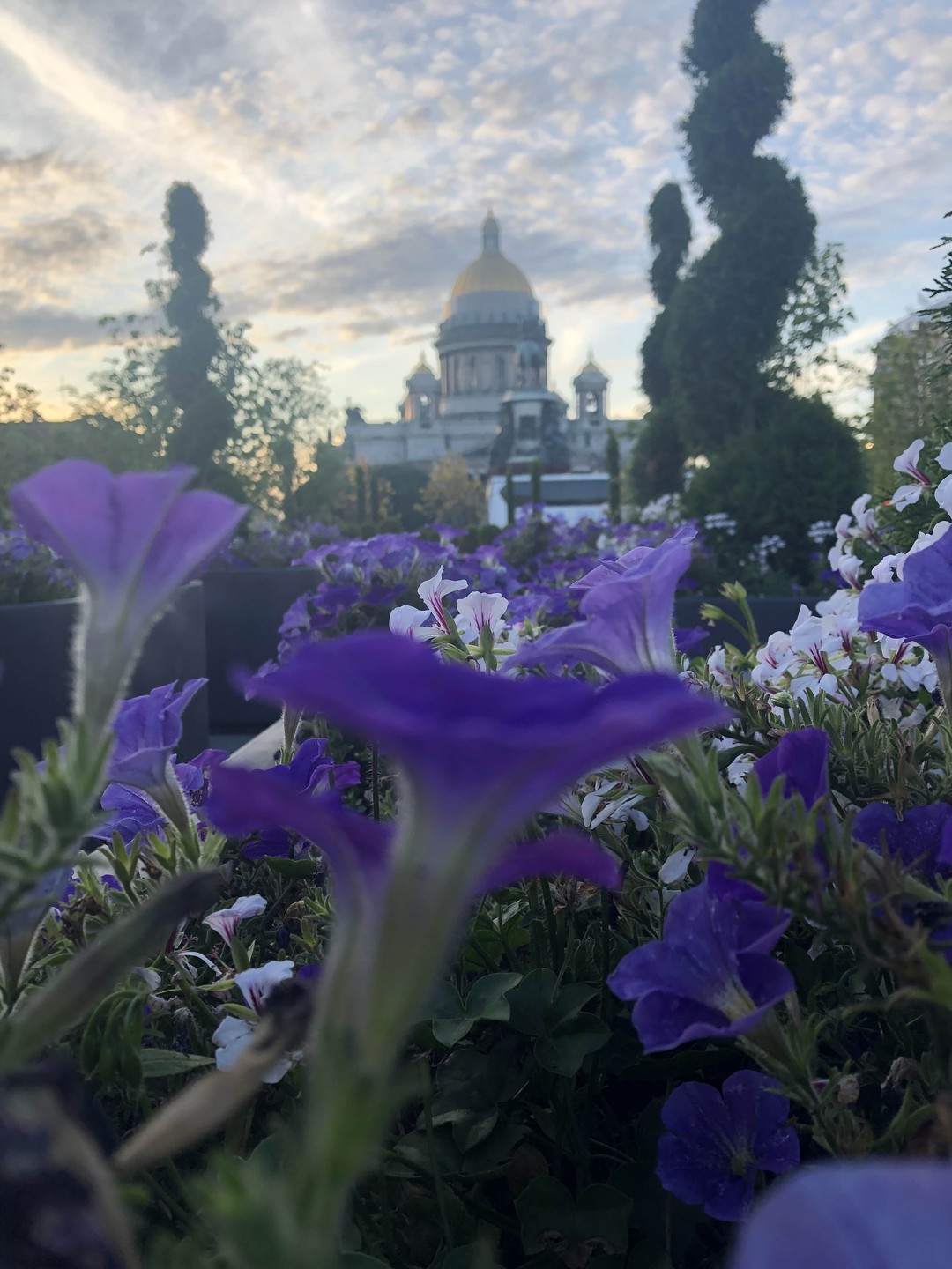 Вечерний петербург
