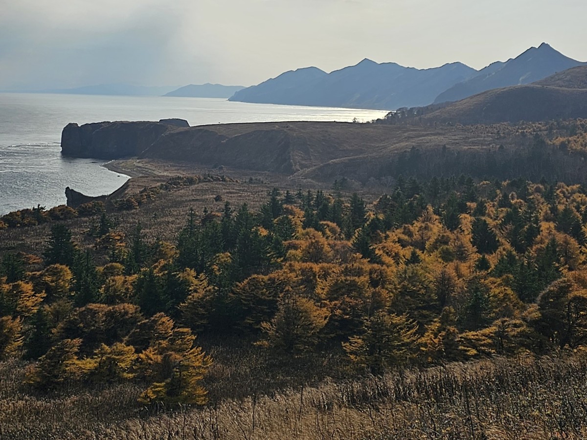 День в бухте Тихой: свидание с Охотским морем (7/8)