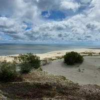 Фото отзыва 1: экскурсия "Загадочная Куршская коса" Фото отзыва 1: экскурсия "Загадочная Куршская коса"
