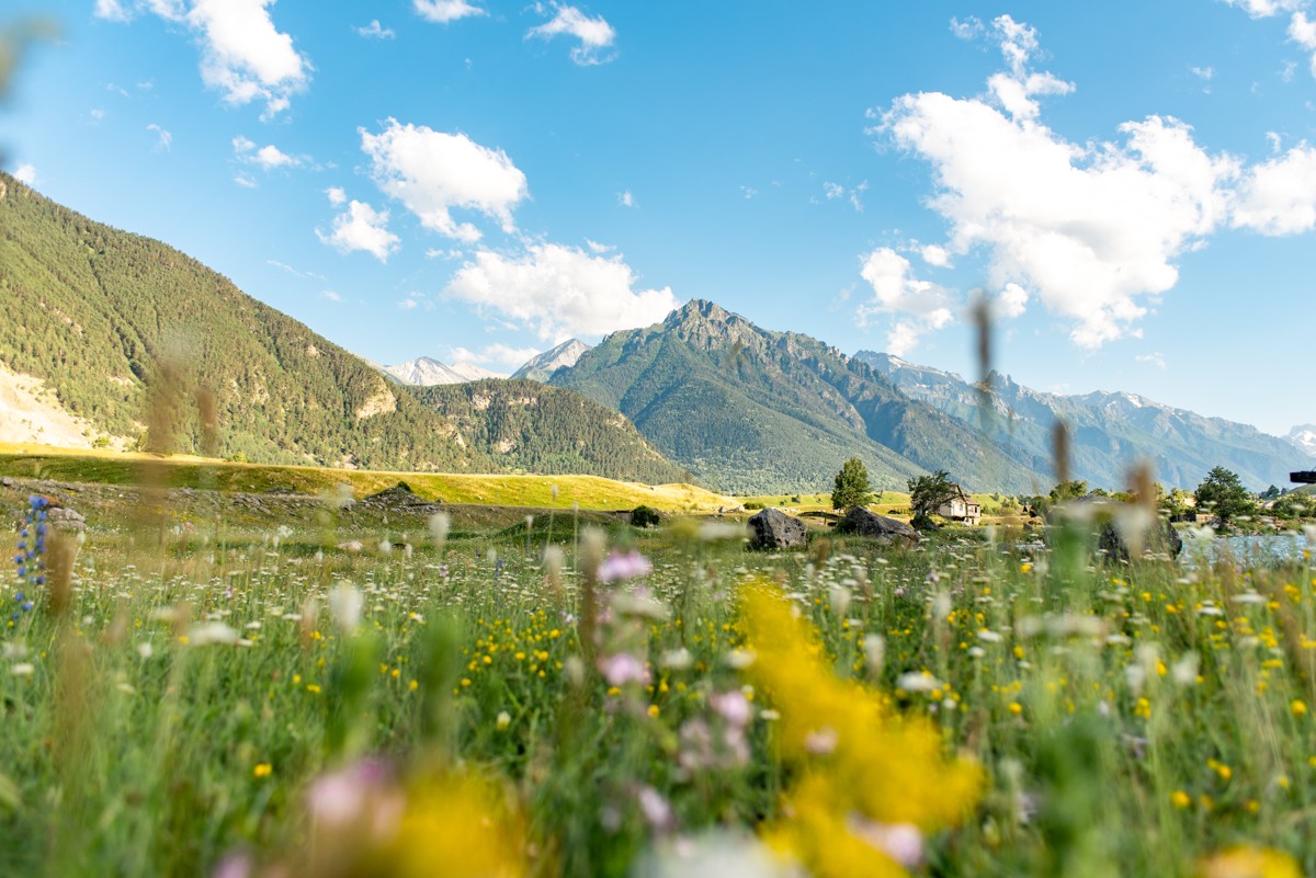 «Кто не был в Домбае, тот не видел Кавказа»: групповая автобусная экскурсия (10/10)