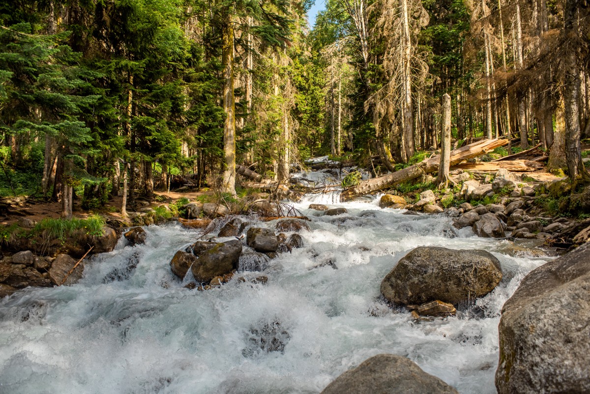 «Кто не был в Домбае, тот не видел Кавказа»: групповая автобусная экскурсия (9/10)