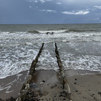 Фото отзыва 78: экскурсия "По Куршской косе и Зеленоградску в мини-группе" Фото отзыва 78: экскурсия "По Куршской косе и Зеленоградску в мини-группе"