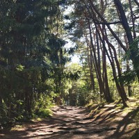 Фото отзыва 24: экскурсия "Три в одном: Куршская коса, Зеленоградск и замок Нессельбек" Фото отзыва 24: экскурсия "Три в одном: Куршская коса, Зеленоградск и замок Нессельбек"
