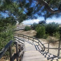 Фото отзыва 22: экскурсия "Три в одном: Куршская коса, Зеленоградск и замок Нессельбек" Фото отзыва 22: экскурсия "Три в одном: Куршская коса, Зеленоградск и замок Нессельбек"