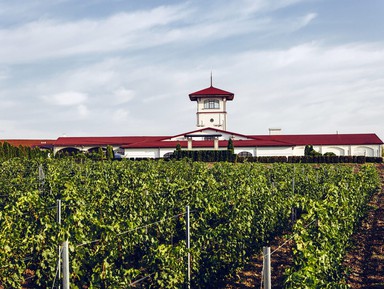 Автобусная экскурсия по Долине Лефкадия