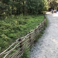 Фото отзыва 3: экскурсия "Ваш идеальный день на Куршской косе" Фото отзыва 3: экскурсия "Ваш идеальный день на Куршской косе"