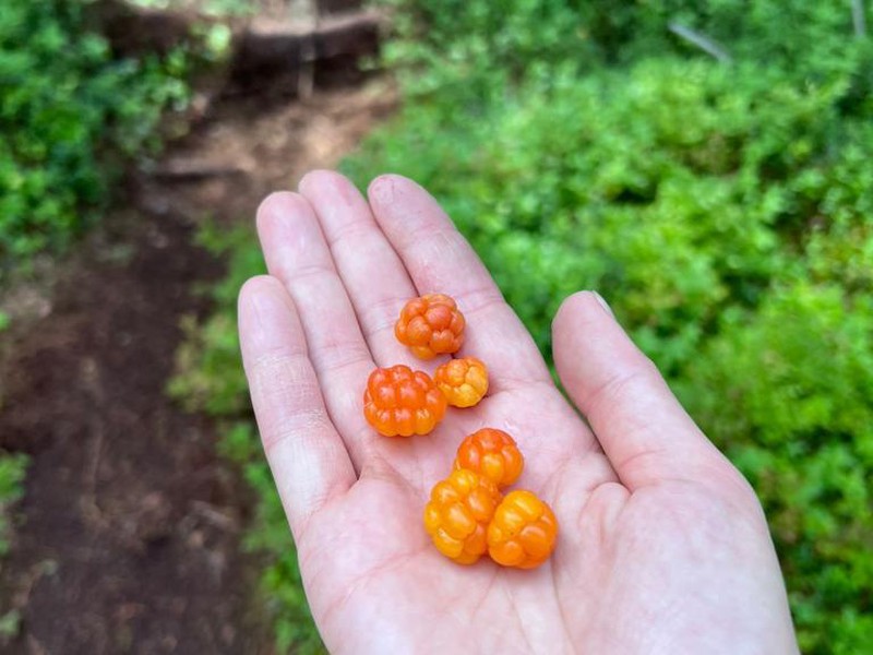 Загадочное Сейдозеро: экскурсия в мини-группе (4/17)