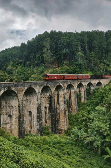 Фото Шри-Ланка в двух частях: трип по достопримечательностям и релакс на побережье