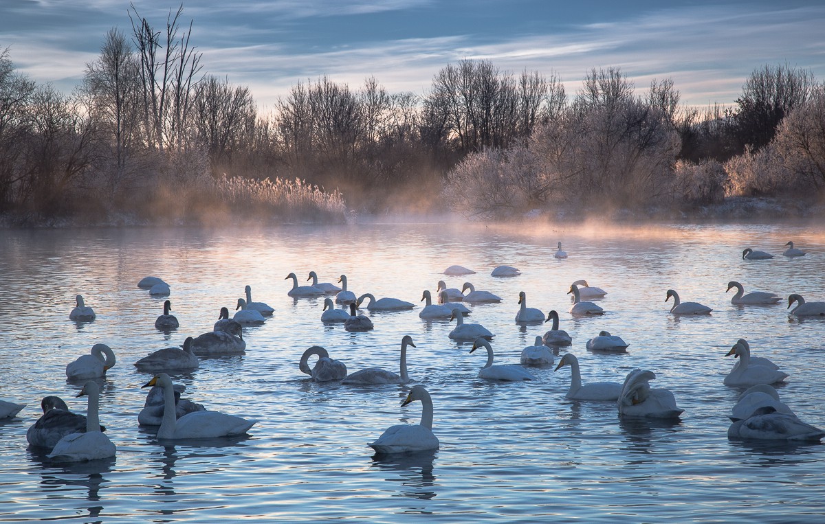 Февральские и мартовские праздники на Алтае (4/7)