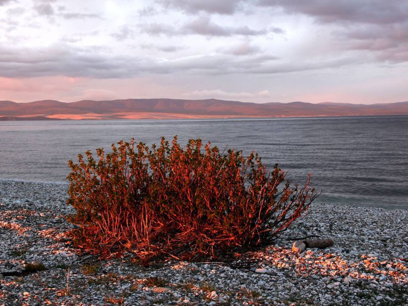 Неизведанный Байкал: водно-пешеходное путешествие к мысу Зундук (5/12)