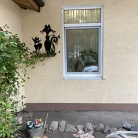 Фото отзыва 47: экскурсия "По Куршской косе и Зеленоградску в мини-группе" Фото отзыва 47: экскурсия "По Куршской косе и Зеленоградску в мини-группе"