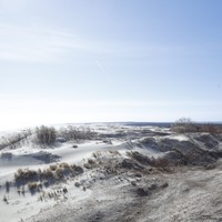 Фото отзыва 2: экскурсия "Загадочная Куршская коса" Фото отзыва 2: экскурсия "Загадочная Куршская коса"