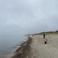 Фото отзыва 6: экскурсия "Куршская коса: волшебство на каждом шагу" Фото отзыва 6: экскурсия "Куршская коса: волшебство на каждом шагу"