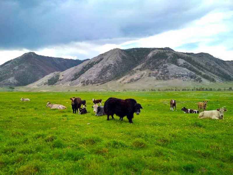 Неизведанный Байкал: водно-пешеходное путешествие к мысу Зундук (6/12)