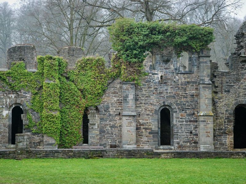 Из Брюсселя — в живописную Валлонию! (5/7)