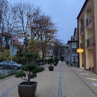 Фото отзыва 4: экскурсия "Куршская коса: волшебство на каждом шагу" Фото отзыва 4: экскурсия "Куршская коса: волшебство на каждом шагу"