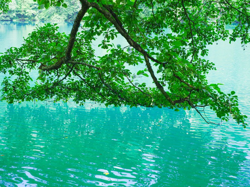 Чарующая Кабардино-Балкария: поездка из Владикавказа (9/11)