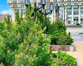 Фото отзыва 3: авторский тур "На выходные в Тулу из Москвы: кулинарный мастер-класс и марсианские пейзажи д. Кондуки"