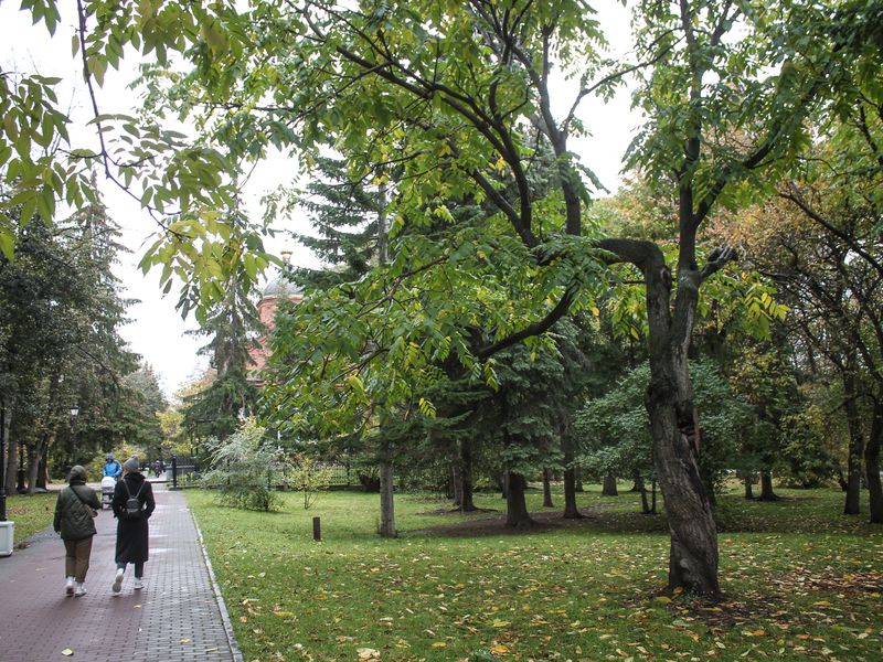 Таинственный Екатеринбург: по следам преданий и легенд (10/12)