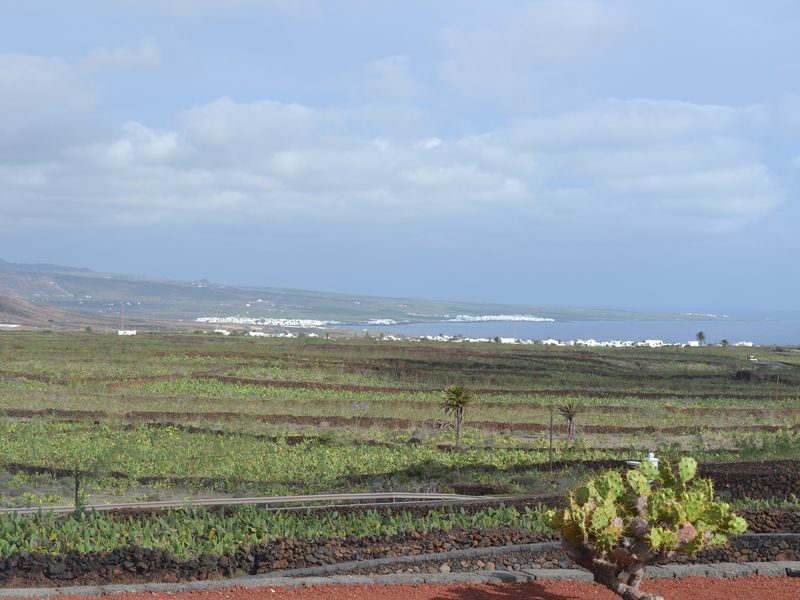 Фуэртевентура. Обзорная экскурсия по острову (8/9)