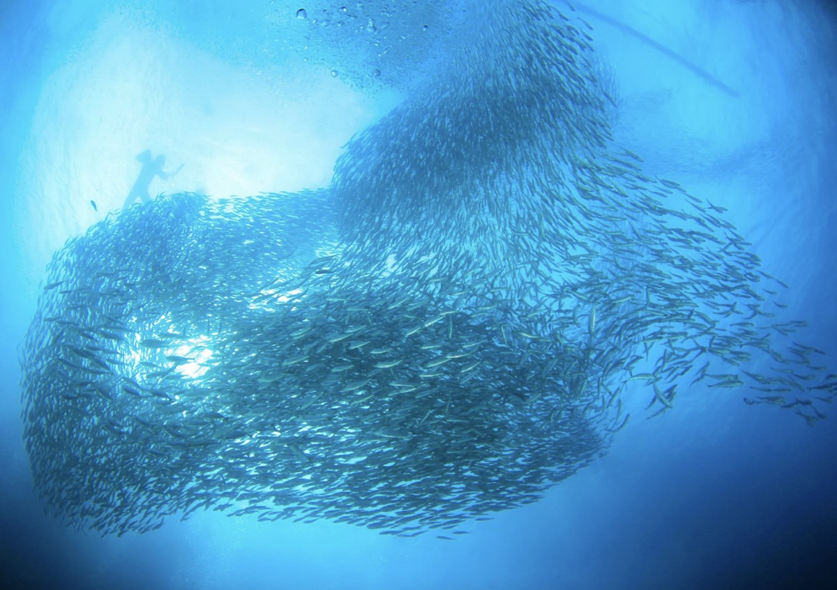 5 дней в райском уголке: путешествие-перезагрузка на Филиппины (2/9)