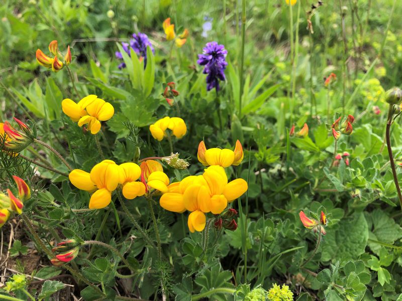 Высокогорный Сочи круглый год (6/7)