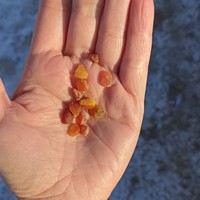 Фото отзыва 18: экскурсия "К курортам Светлогорск и Янтарный и инстаграмной Филинской бухте" Фото отзыва 18: экскурсия "К курортам Светлогорск и Янтарный и инстаграмной Филинской бухте"