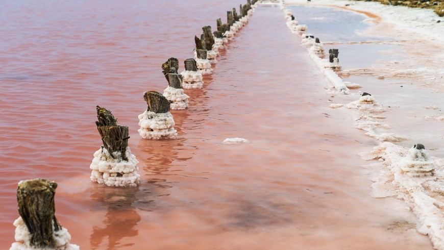 Путешествие к розовому озеру