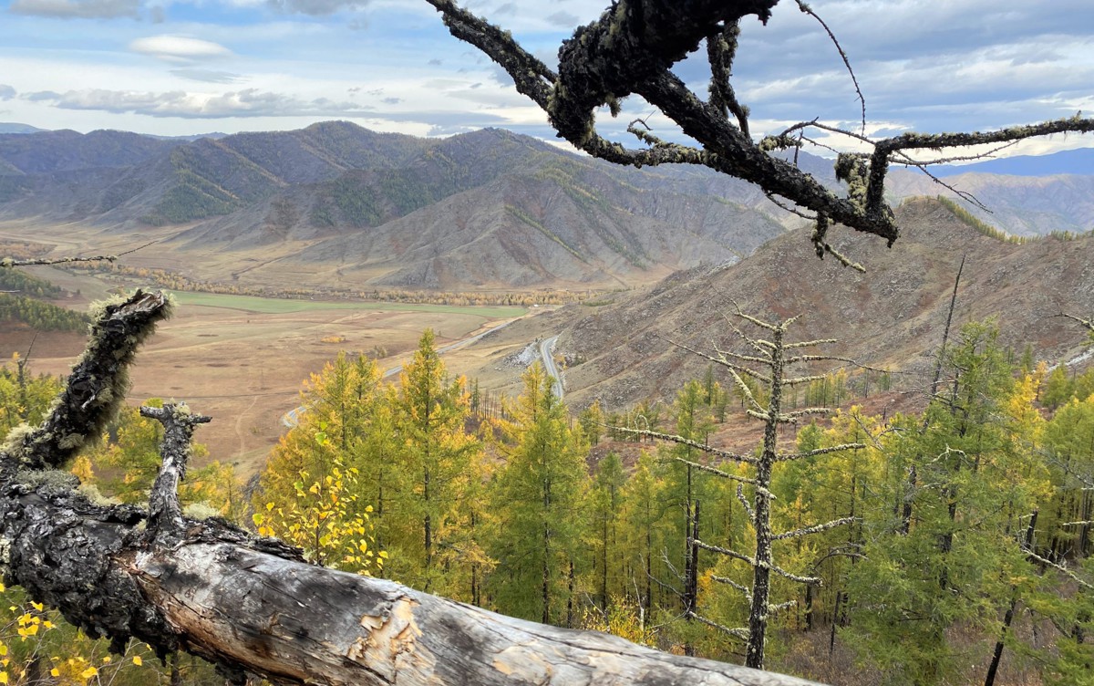 На Алтай за чудесами, энергией и видами (6/11)