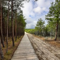 Фото отзыва 2: экскурсия "По Куршской косе и Зеленоградску в мини-группе" Фото отзыва 2: экскурсия "По Куршской косе и Зеленоградску в мини-группе"