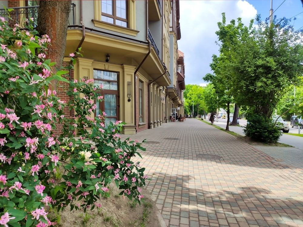 Фото 1 - Экскурсия: "Прогулка по городу К для любителей кофе и архитектуры" Фото 1 - Экскурсия: "Прогулка по городу К для любителей кофе и архитектуры"