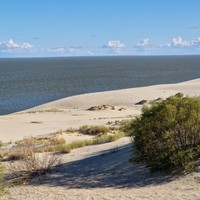 Фото отзыва 22: экскурсия "Загадочная Куршская коса" Фото отзыва 22: экскурсия "Загадочная Куршская коса"