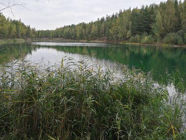 Экскурсии