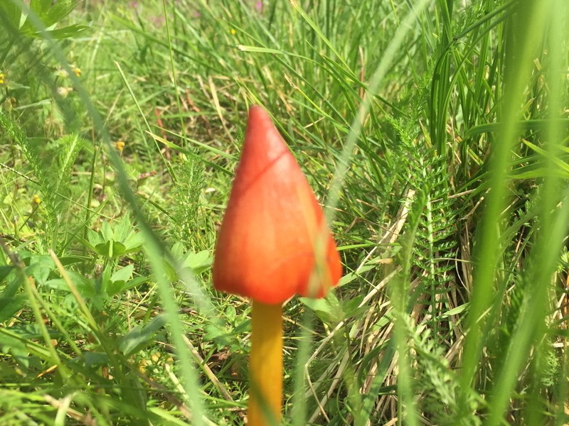 Загадочное Сейдозеро: экскурсия в мини-группе (16/17)