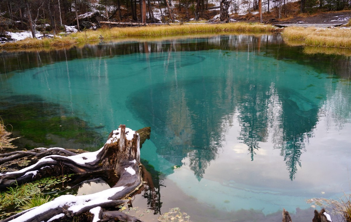 На Алтай за чудесами, энергией и видами (9/11)