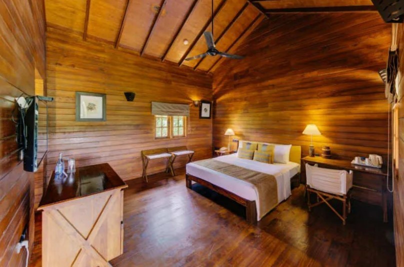 Фото Шри-Ланка в двух частях: трип по достопримечательностям и релакс на побережье