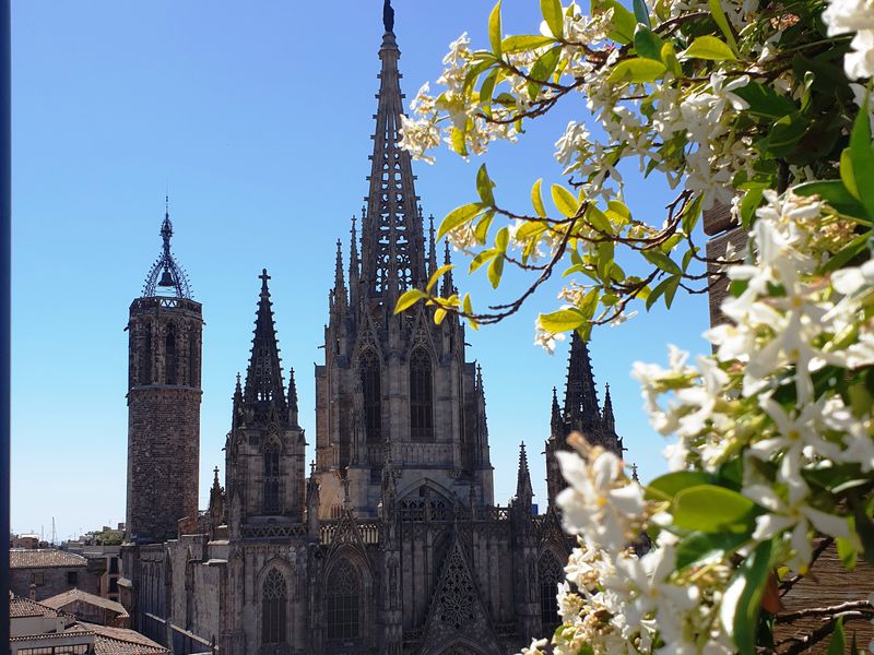 Легенды и повести Кафедрального собора Барселоны (7/7)