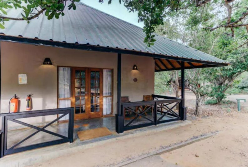 Фото Шри-Ланка в двух частях: трип по достопримечательностям и релакс на побережье