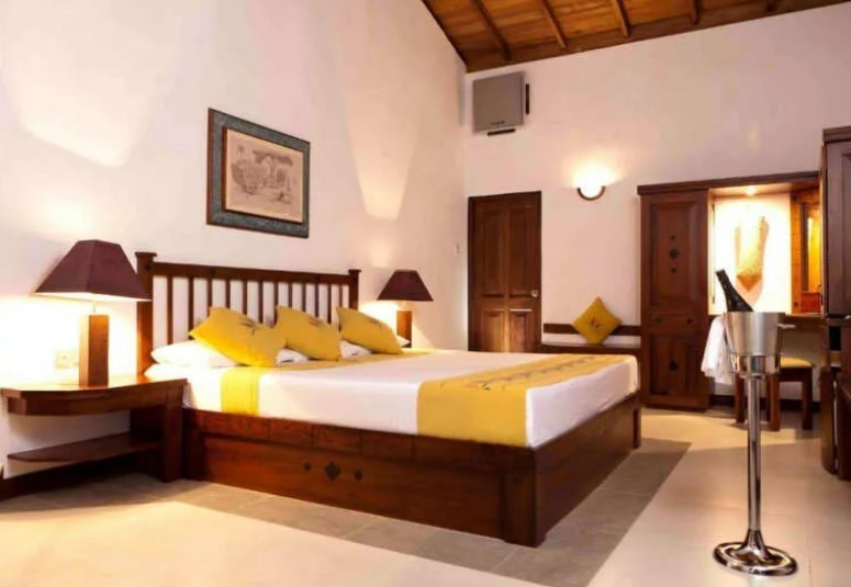 Фото Шри-Ланка в двух частях: трип по достопримечательностям и релакс на побережье