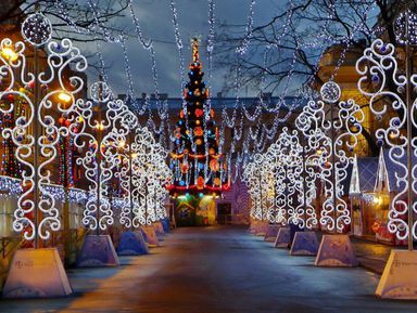Фото 2 - Экскурсия: "Новогодняя сказка Санкт-Петербурга" Фото 2 - Экскурсия: "Новогодняя сказка Санкт-Петербурга"