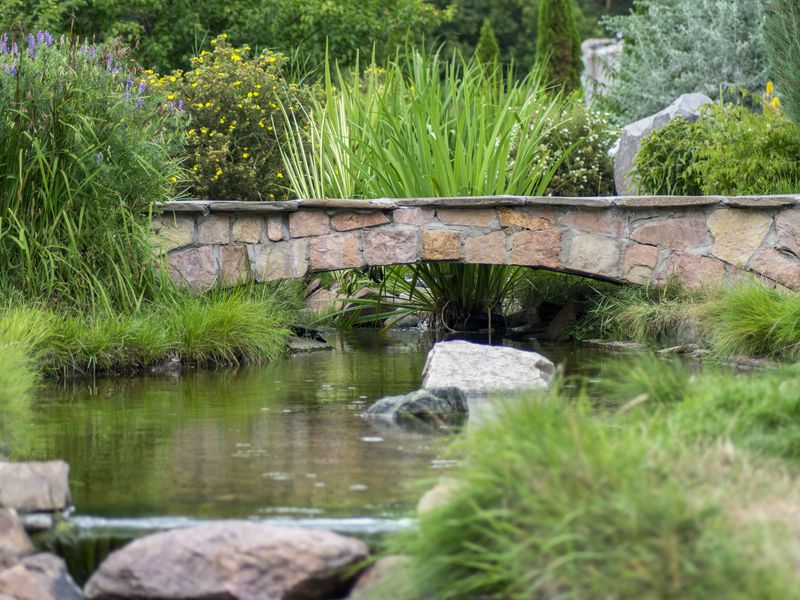 Малый Китеж, или Городец на Волге (10/13)