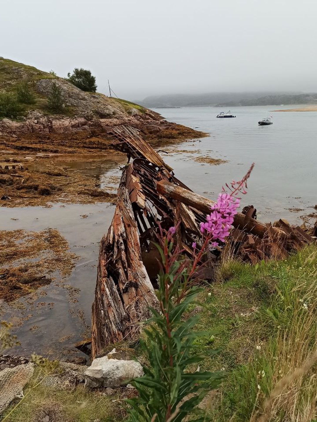 Киты, тюлени и невероятная Териберка ?? цена экскурсии 8028 ?, 113 ...