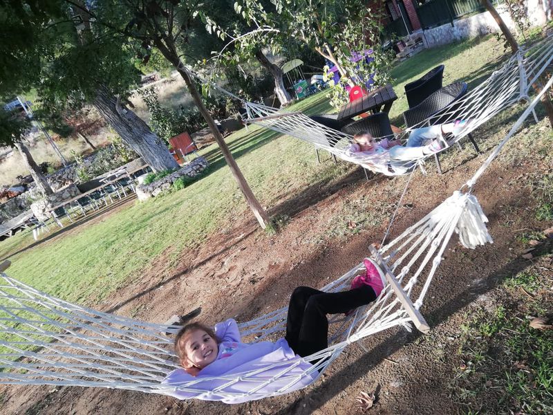 Подружиться с лошадьми в Анталье (7/12)