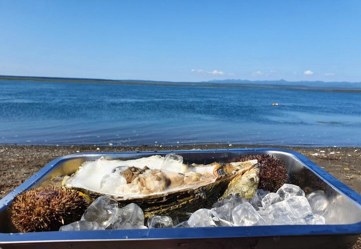 Тур на сахалин. Лагуна буссе сахалин. Гастрономический туризм на сахалине. Озеро буссе сахалин устрицы. Омары на сахалине.