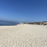 Фото отзыва 34: экскурсия "Куршская коса без толпы, Зеленоградск и замок Нессельбек на автобусе" Фото отзыва 34: экскурсия "Куршская коса без толпы, Зеленоградск и замок Нессельбек на автобусе"