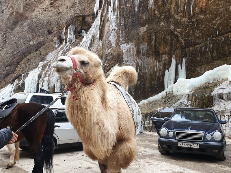 Чарующая Кабардино-Балкария: поездка из Владикавказа (7/11)